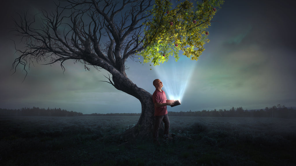 Make Full Proof of Your Ministry: Keep Going, Stay Rooted